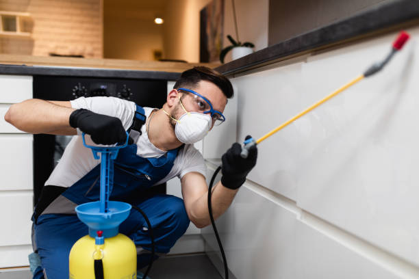 Professional Pest Control in Stony Brook University, NY
