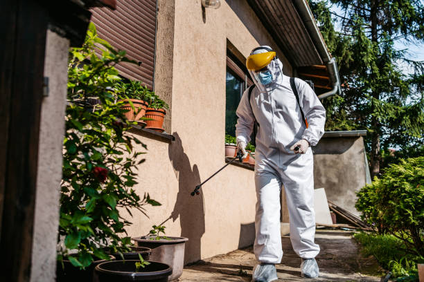 Pest Prevention Services in Stony Brook University, NY
