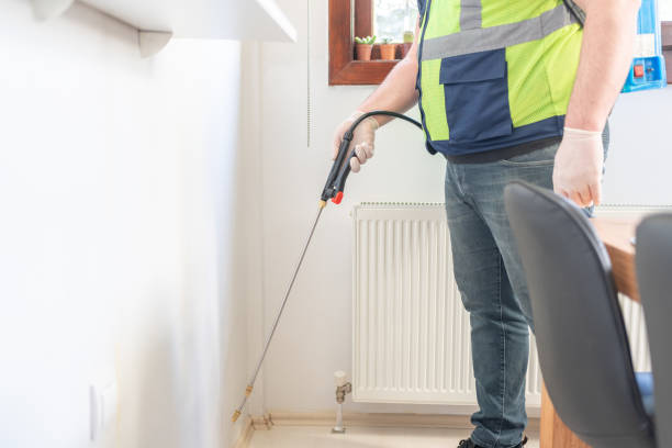 Best Local Pest Control Services  in Sto Brook University, NY